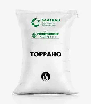 Кукурудза Торрано, п.о. 80 тис. насінин (Saatbau)