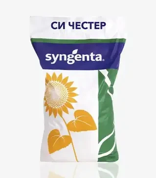 Соняшник СИ Честер, п.о. 150 тис. насінин (Syngenta)