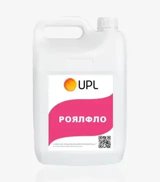 Протруйник Роялфло, 20 л (UPL)