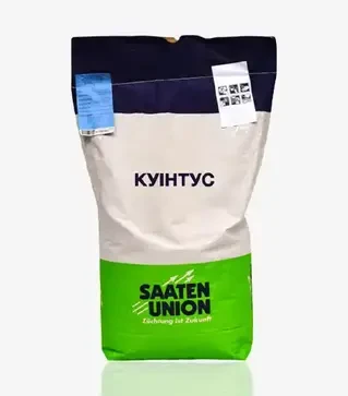 Пшеница оврага Quintus (Куинтус), т (Saaten Union)