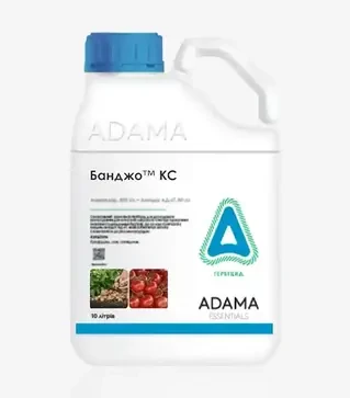 Фунгицид Банджо, 5 л (Adama)