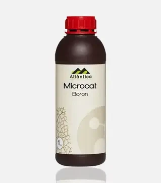 Стимулятор росту Мікрокат Бор (В), 1 л (Atlantica Agricola)