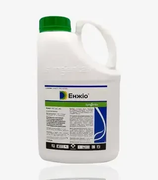 Інсектицид Енжіо 247, 5 л (Syngenta)