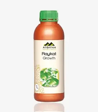 Стимулятор роста Райкат Рост, 1 л (Atlantica Agricola)