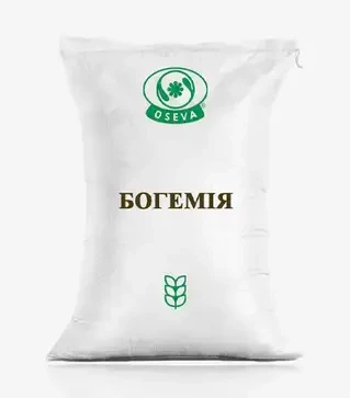 Пшениця озима Богемія, т (Осева)