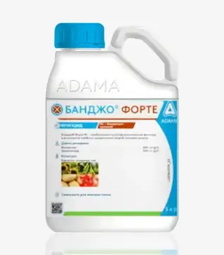 Фунгицид Банджо Форте, 5 л (Adama)