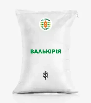 Ячмень озимый Валькирия, т (Агро Ритм)