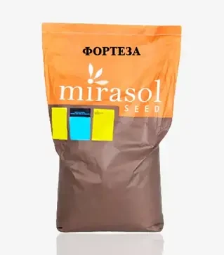 Подсолнечник Fortera OR8 (Фортеза), п.е. 150 тыс. семян (Mirasol Seed)
