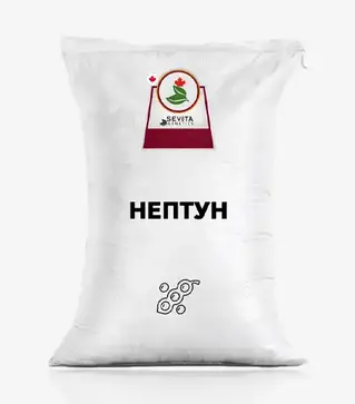 Соя Нептун, т (Sevita Genetics)