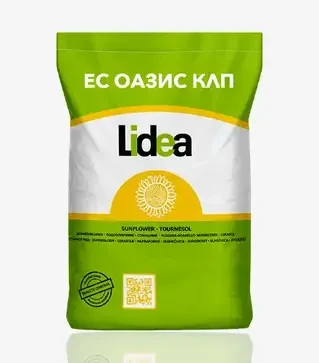 Соняшник ЕС Оазис КЛП, п.о. 150 тис. насінин (Lidea)