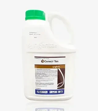 Протруйник Селест Топ 312,5 Fs, 5 л (Syngenta)