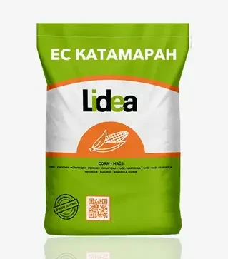 Кукурудза ЕС Катамаран, п.о. 80 тис. насінин (Lidea)