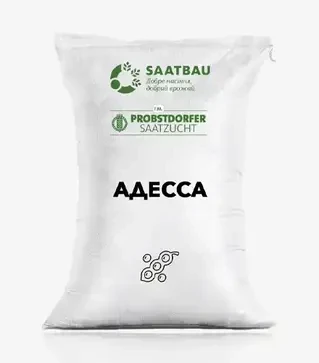 Соя Адесса, т (Saatbau)