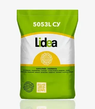 Подсолнечник 5053L СУ, п.е. 150 тыс. семян (LIDEA)