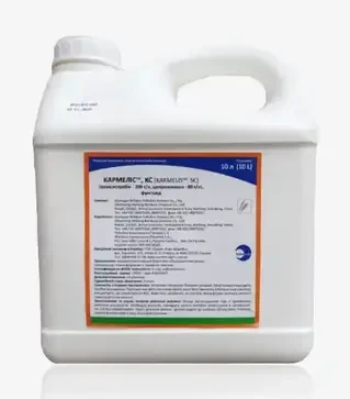 Фунгицид Кармелис, 10 л (Sumi Agro)