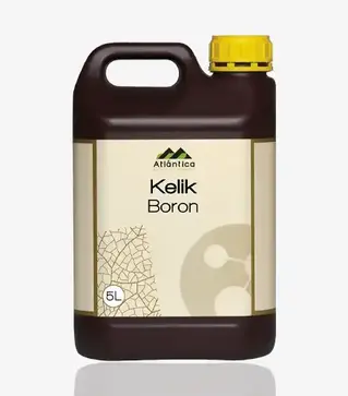 Микроудобрение Келик Бор (В), 5 л (Atlantica Agricola)