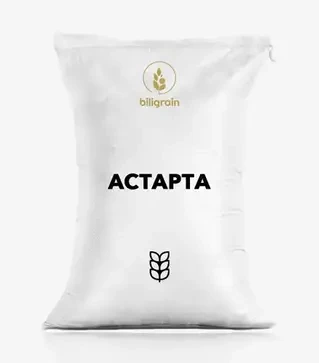 Пшениця озима Астарта, т (Biligrain)