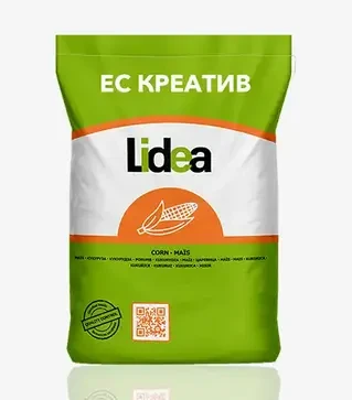 Кукурудза ЕС Креатив, п.о. 80 тис. насінин (Lidea)