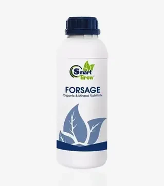 Стимулятори росту SmartGrow Forsage (СмартГров Форсаж), 1 л (SmartGrow)