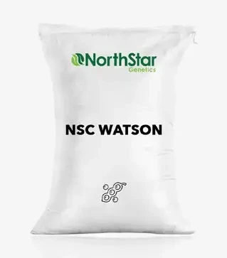 Соя NSC Watson (НСК Ватсон), т (NorthStar Genetics)