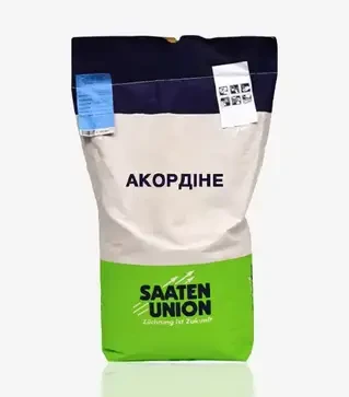 Ячмень яровой Аккордине, т (Saaten Union)