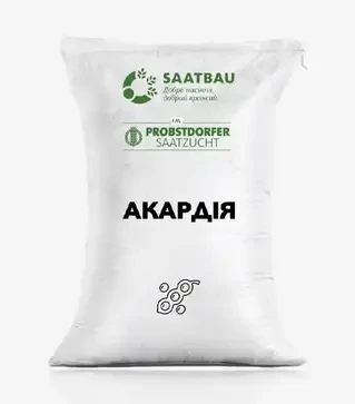 Соя Акардія, т (Saatbau)