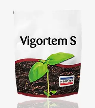 Стимулятор роста Vigortem-S (Вигортем-С), 0,5 кг (Meristem)