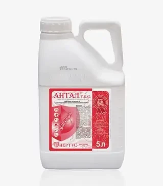 Протравитель Антал, 5 л (Нертус)