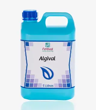 Стимулятор росту Алгiвал, 5 л (Fertival)