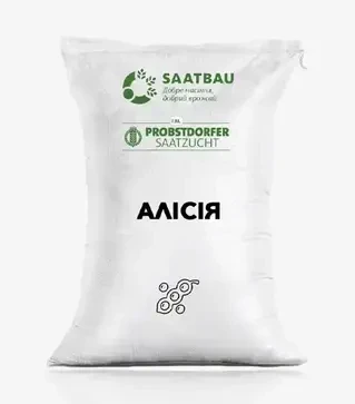 Соя Алисия, т (Saatbau)