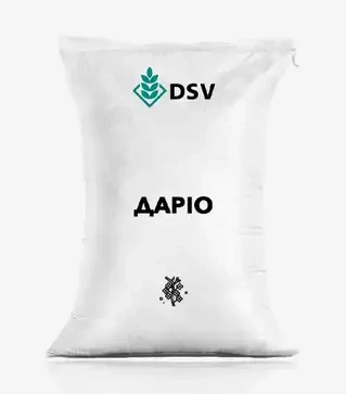 Рапс озимый Дарио, п.е. 1 500 тыс. семян (DSV)