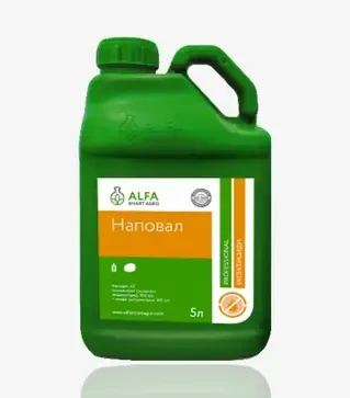 Інсектицид Наповал, 5 л (ALFA Smart Agro)