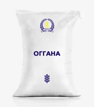 Сорго Оггана, п.е. 300 тыс. семян (Рейлин)