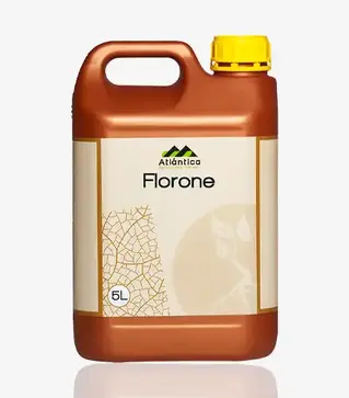 Биостимулятор Флорон, 5 л (Atlantica Agricola)
