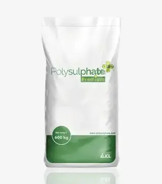 Мікродобриво Полісульфат Преміум 0-0-13+16,4CaO+5,6MgO+45,6SO3, 600 кг (ICL)