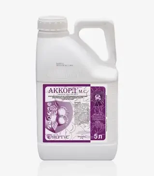Фунгіцид Аккорд, 5 л (Нертус)
