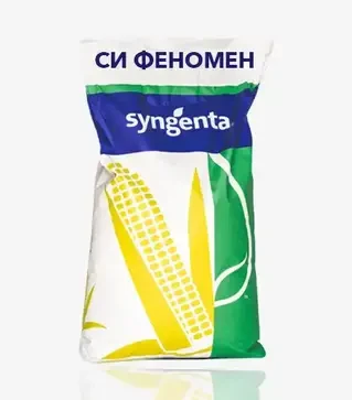 Кукуруза СИ Феномен, п.е. 80 тыс. семян (Syngenta)