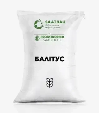 Озимая пшеница Балитус, т (Saatbau)
