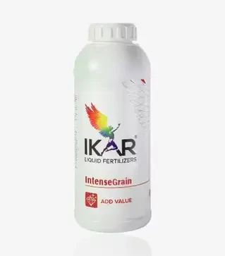 Стимулятор росту Ikar Intense Graine (Ікар Інтенс Зерновий), 1 л (Ikarai)
