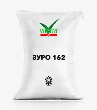 Подсолнечник Зуро 162, п.е. 150 тыс. семян (ViterraSeed)