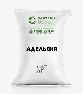 Соя Адельфія, т (Saatbau)