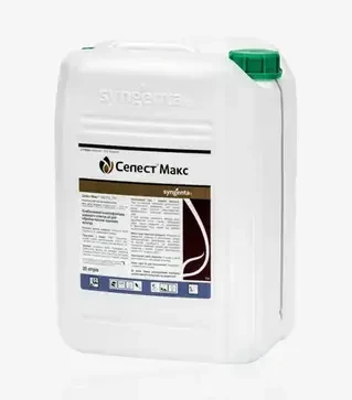 Протруйник Селест Макс 165 Fs, 20 л (Syngenta)
