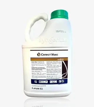Протравитель Селест Макс 165 Fs, 5 л (Syngenta)