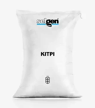 Пшениця яра Кітрі, т (Selgen)