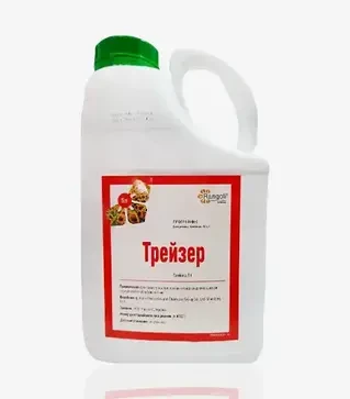 Протруйник Трейзер, 5 л (Rangoli limited)