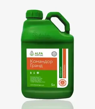 Протравитель Командор Гранд, 5 л (ALFA Smart Agro)