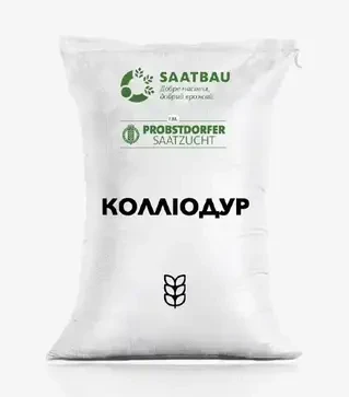 Озимая пшеница Коллиодур, т (Saatbau)