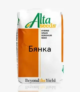 Сорго Бянка, п.е. 500 тыс. семян (Alta Seeds)
