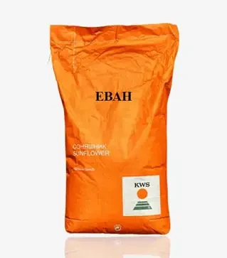 Соняшник Еван, п.о. 150 тис. насінин (KWS)
