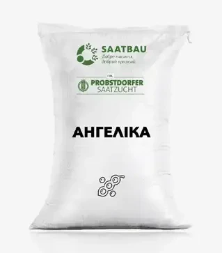 Соя Ангеліка, т (Saatbau)